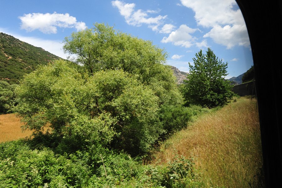 2014.06.18 Zahnradbahn in Griechenland Diakopto–Kalavryta (89)